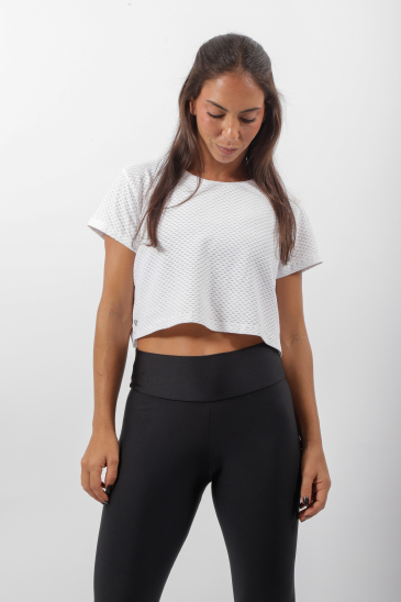 Cropped Colmeia